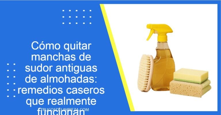 safi image 691a1e84ec4ed