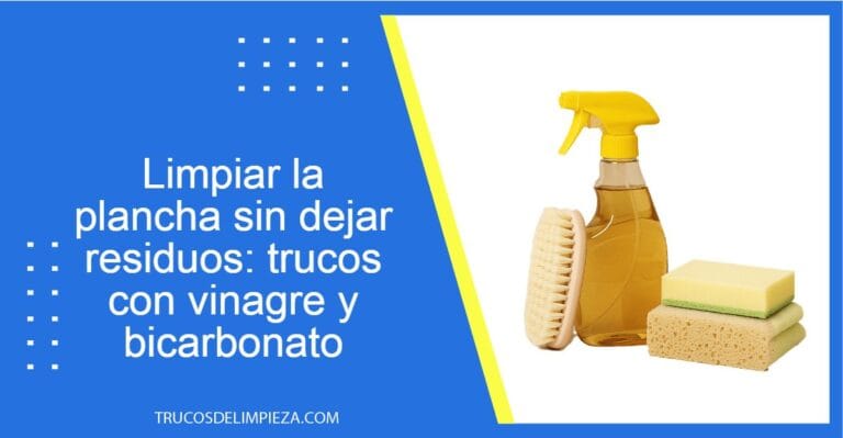 safi image 691a1e8adb7b8